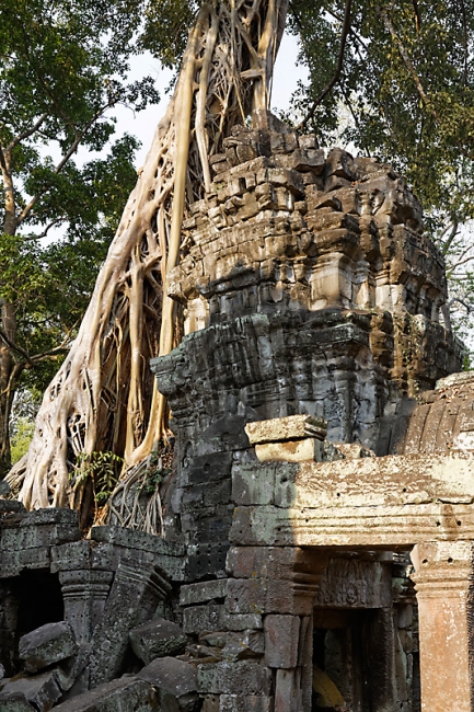 Ta Phrom et environs-120
